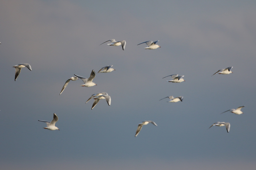 日差しを浴びて