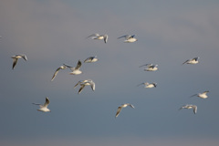 日差しを浴びて