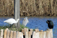 二人で知らんふり