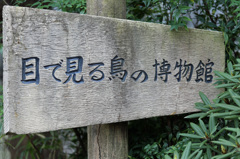 新しい観察舎建ちそうですみなさんありがとうございます