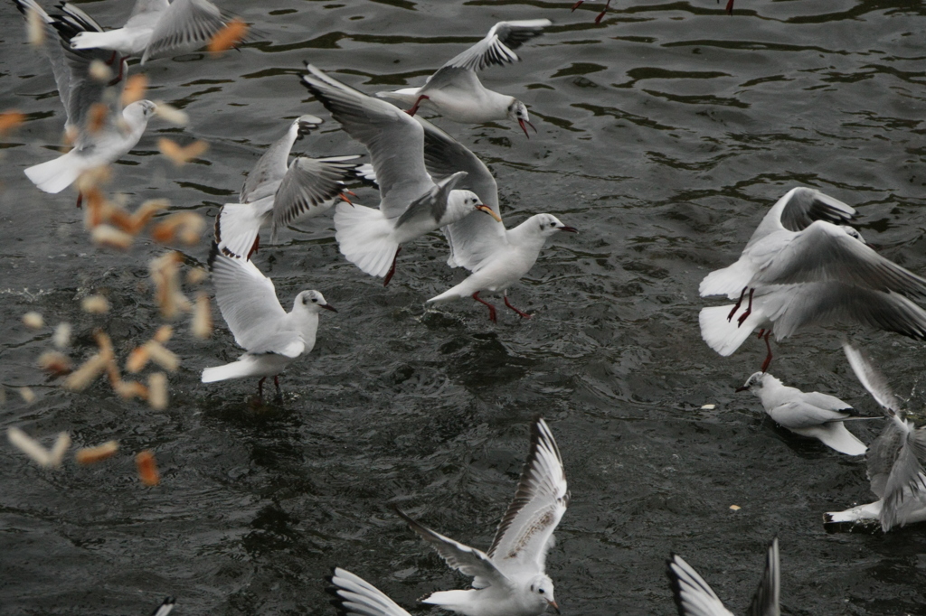 後ろからパンが飛ぶ
