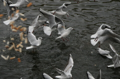 後ろからパンが飛ぶ