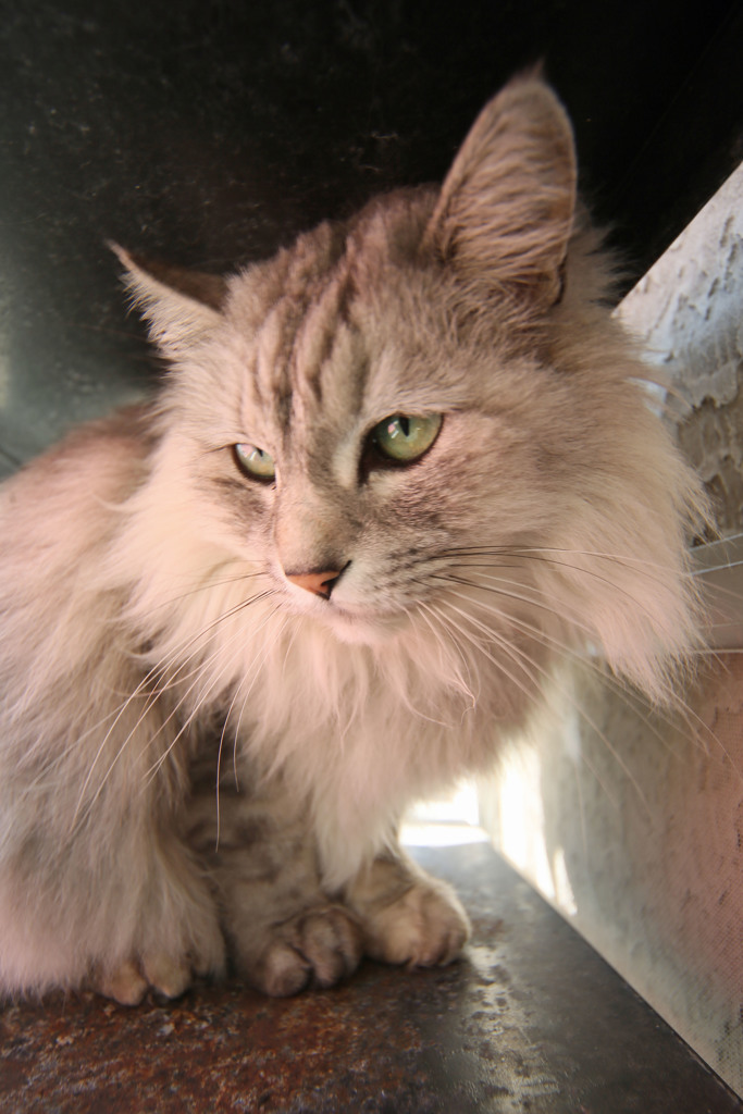 超広角レンズでポートレートその4