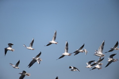 日差しを浴びて