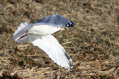 日差しを浴びて