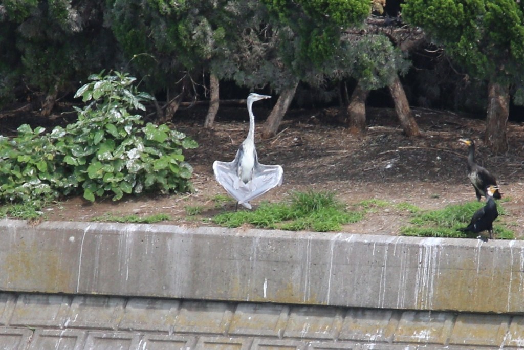 あぐらかいてるの？