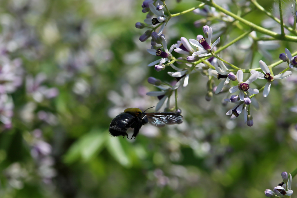 お尻ピカピカ-3