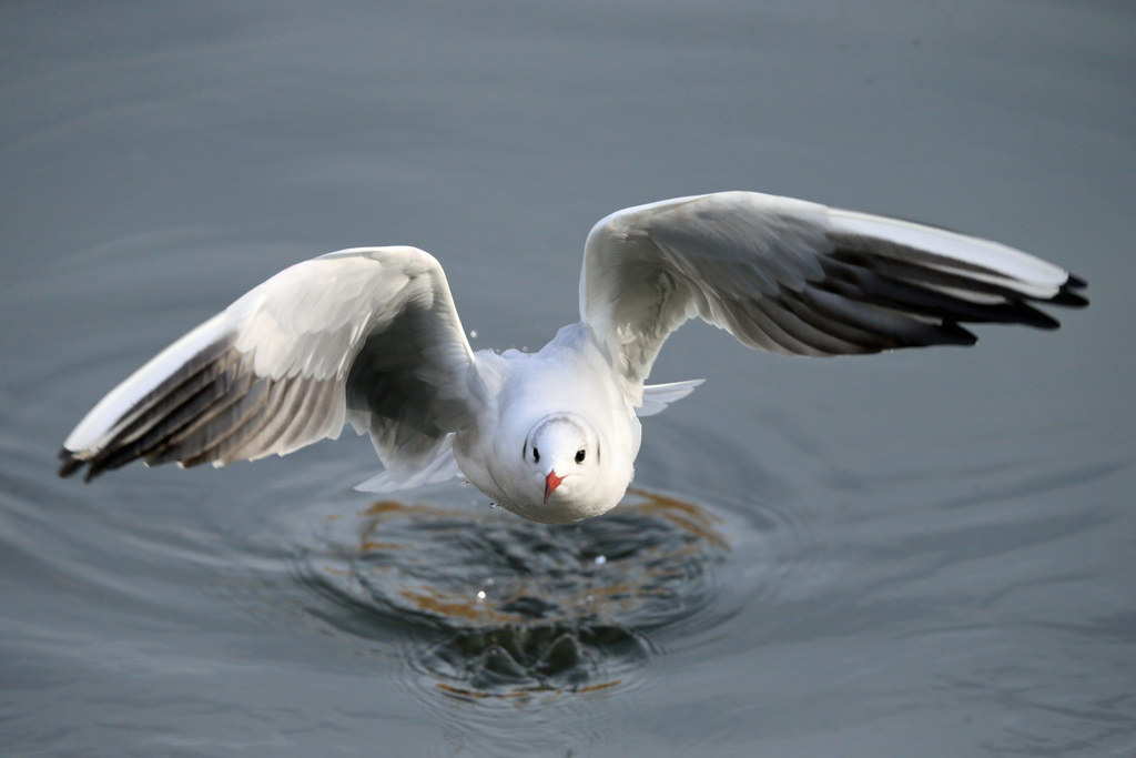 正面シリーズ-2