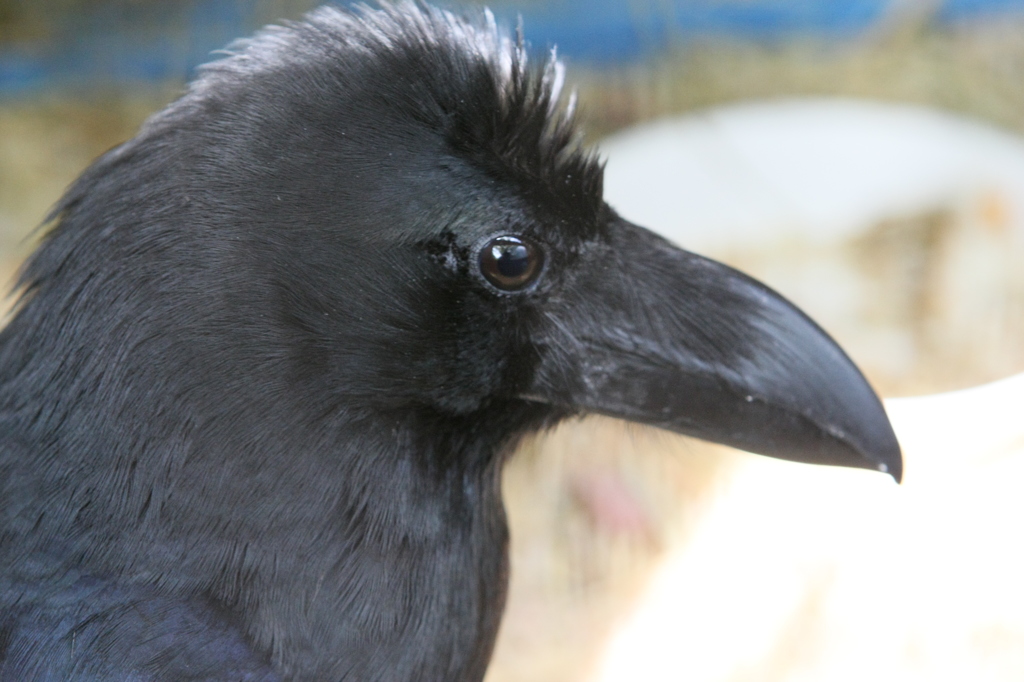 僕可愛いでしょ