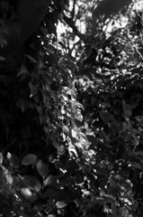 ちょっと涼しくなりました