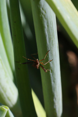 あなたはどなた