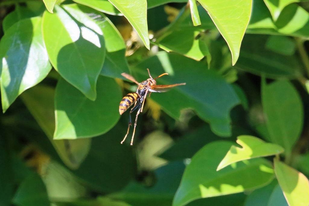 お尻綺麗でしょ