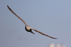 正面シリーズ-1