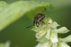 あなたはどなた
