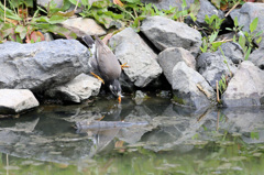 足踏ん張ってます