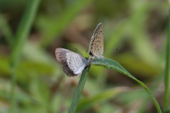 おならふらないで