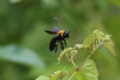 着地姿勢 着地姿勢