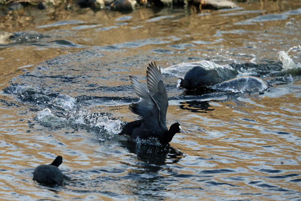 ユーターンその1