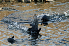 ユーターンその1