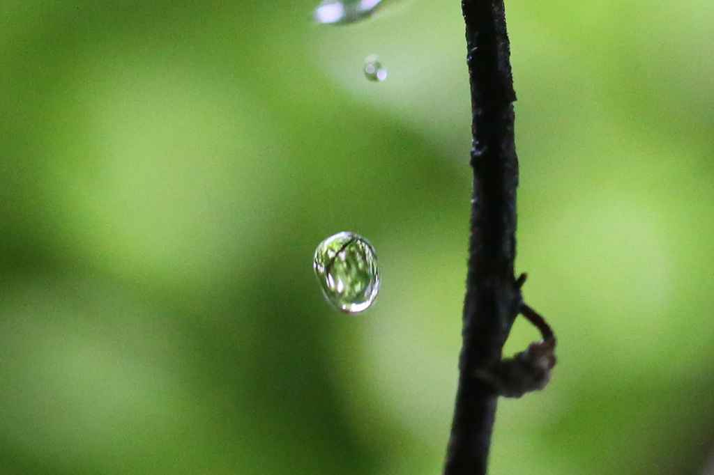 1/2000で止まって見えます-1