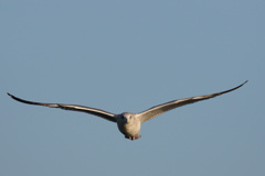 正面シリーズ-3