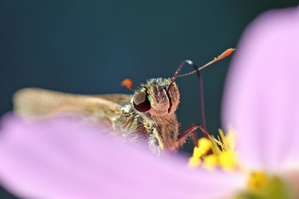 そ～とのぞいてみてごらん♪