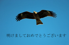 明けましておめでとうございます