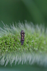 あなたはどなた