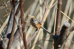 ガン付けられた