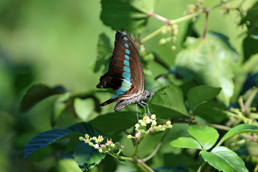 スポットライト