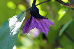 日差しを浴びて