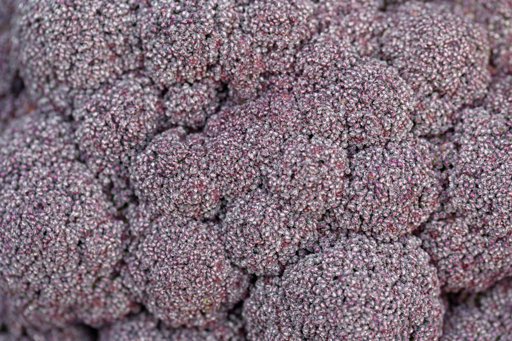 紫のジュータン