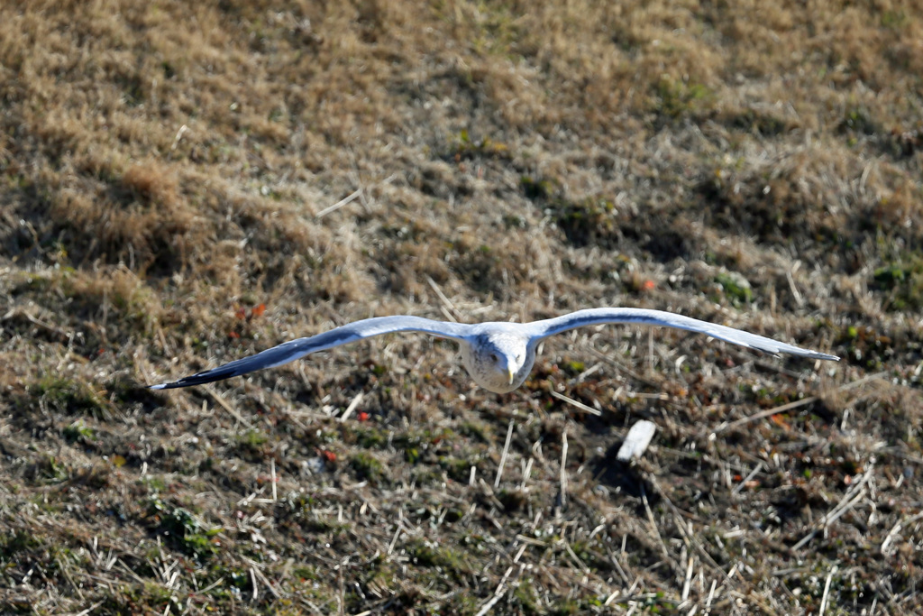 正面シリーズその5