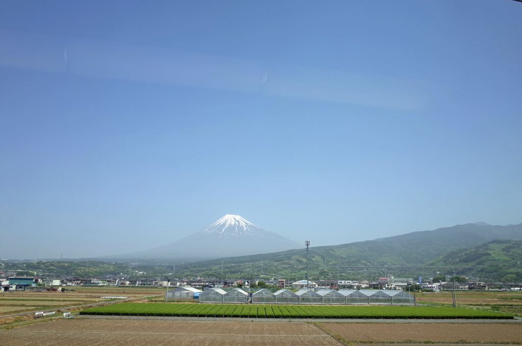 静岡です
