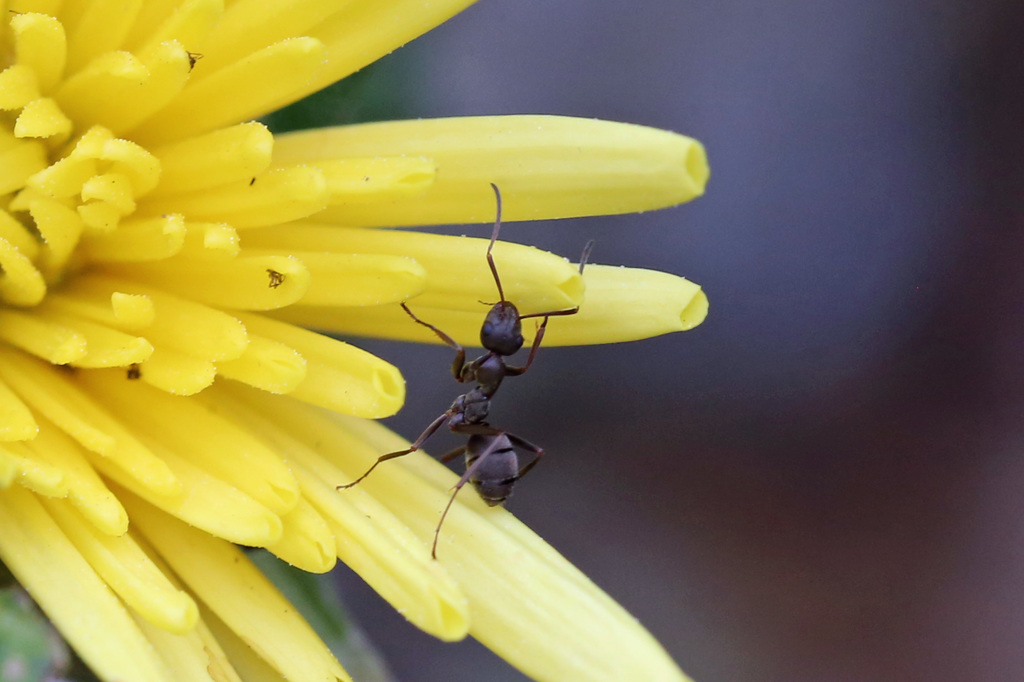 腰ひねっております