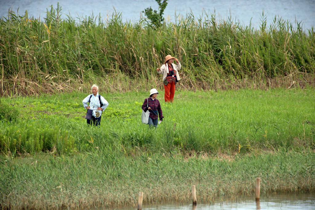 撮っていいのは写真だけ残していいには足跡だけ
