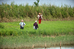 撮っていいのは写真だけ残していいには足跡だけ