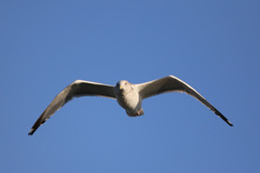 正面シリーズ-4