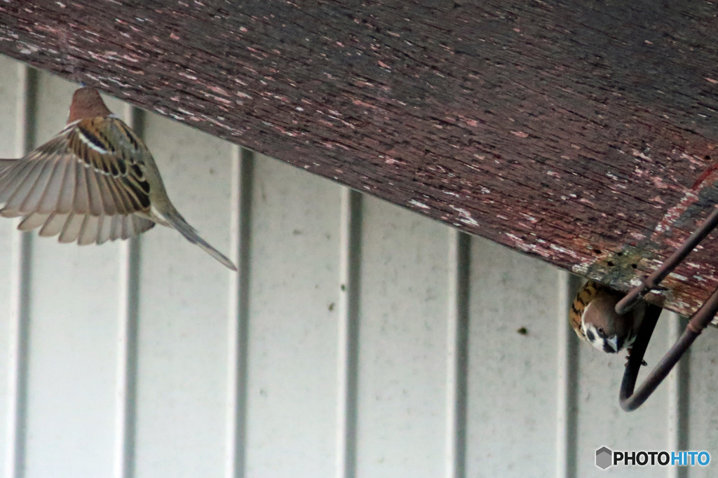 シャッター押すの遅かった