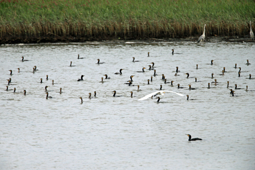 潜望鏡いっぱい