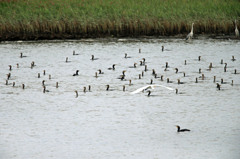 潜望鏡いっぱい