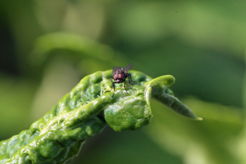 おはようさんⅧ