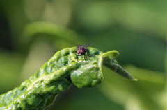 おはようさんⅧ