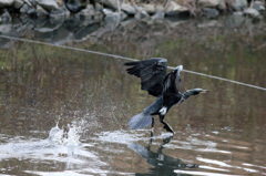 あ！前のロープに引っかかる