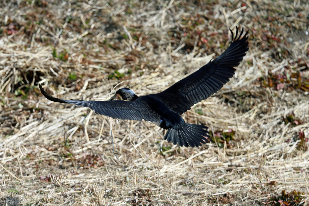 背中綺麗でしょ