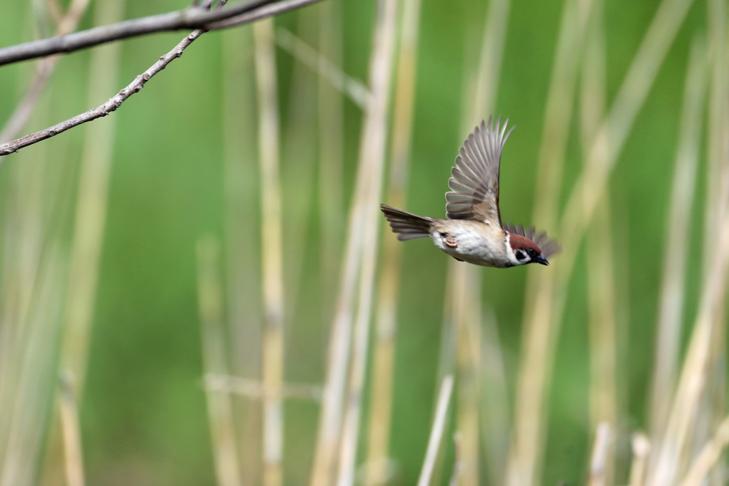 シャッター押すの遅かった