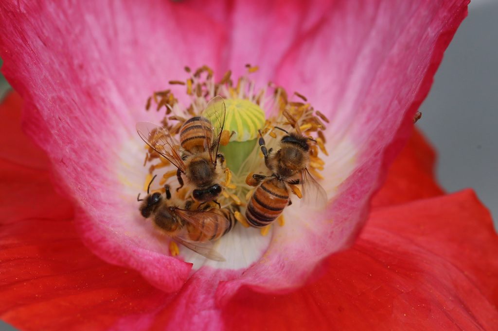 込み合ってます