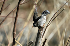 おっと行き過ぎた