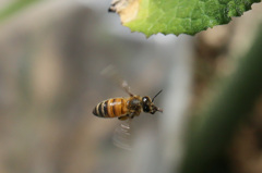 １／３２００でも止まりません