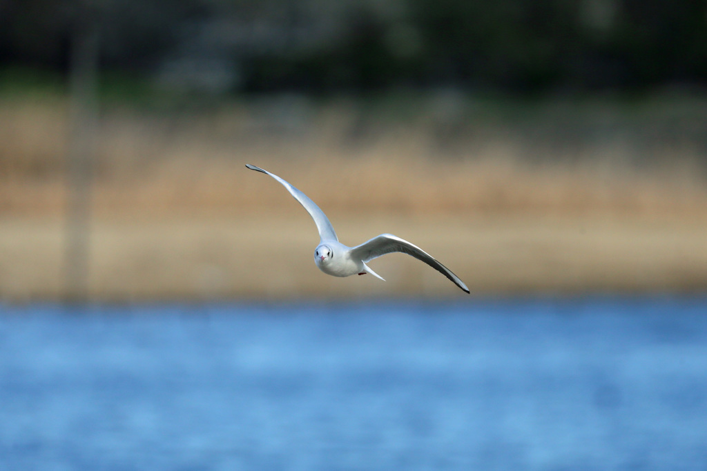 正面シリーズその13